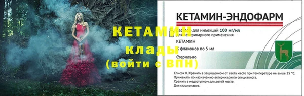 трава Гусь-Хрустальный